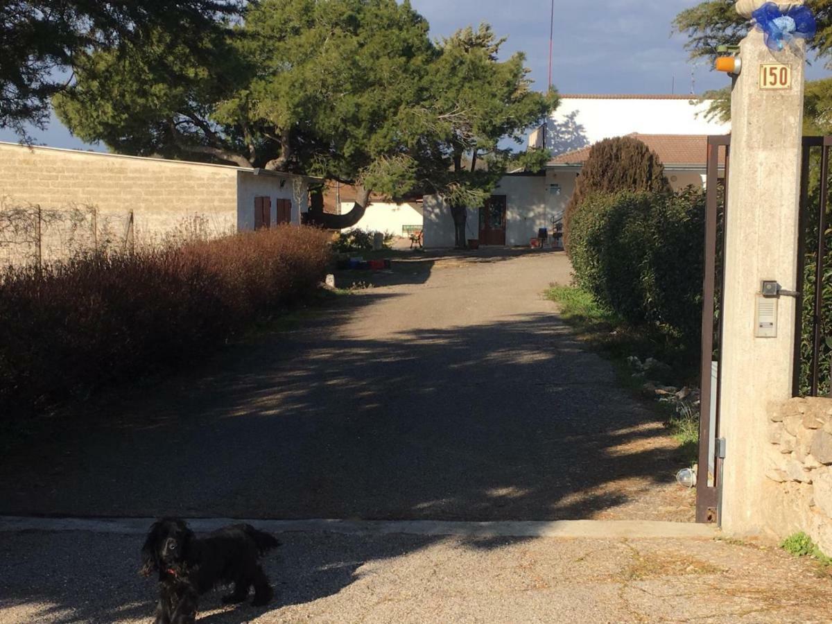קאסאנו דלה מורג'ה B&B Nuzzi מראה חיצוני תמונה