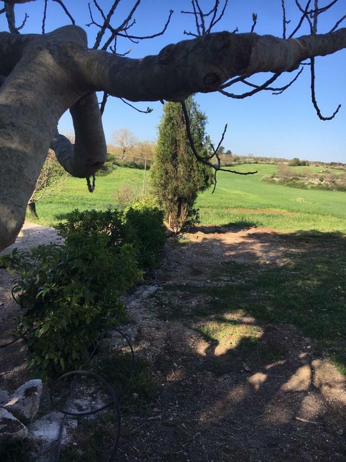 קאסאנו דלה מורג'ה B&B Nuzzi מראה חיצוני תמונה